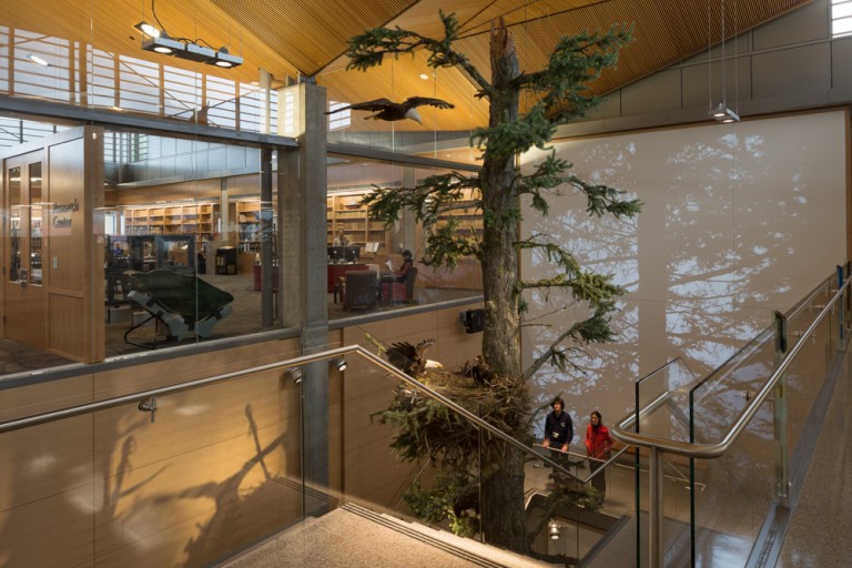 Decorative lighting around large tree in stairwell