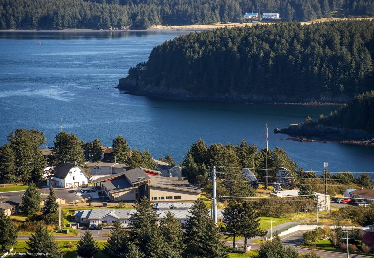 Aerial view of library and wooded coast