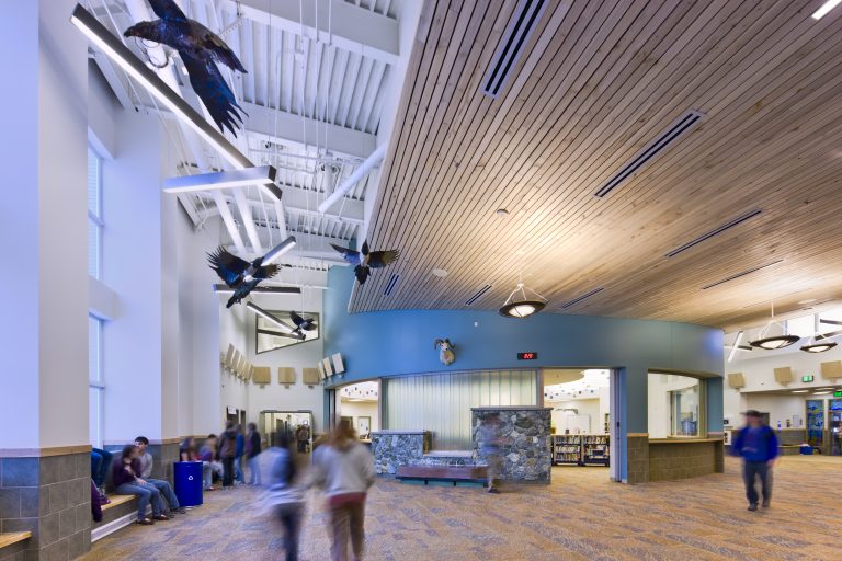 Decorative ceiling panels, lighting and vents