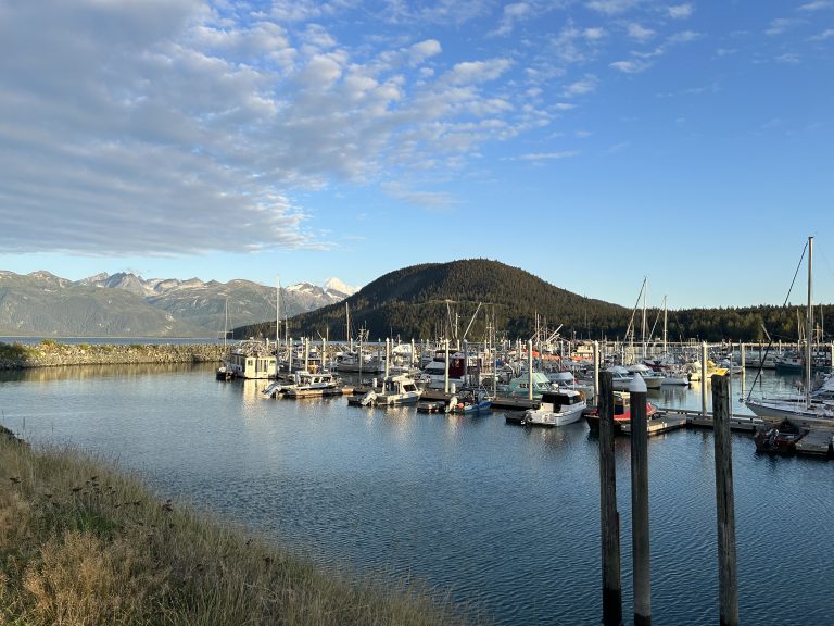 Boats parked in docks
