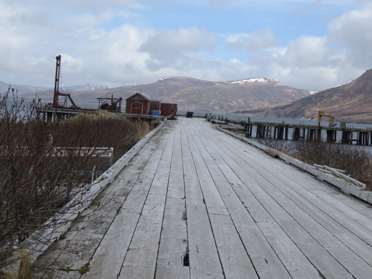Mountains and docks along coast