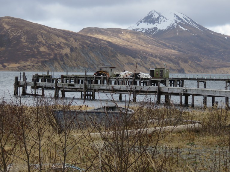 Mountains and docks along coast