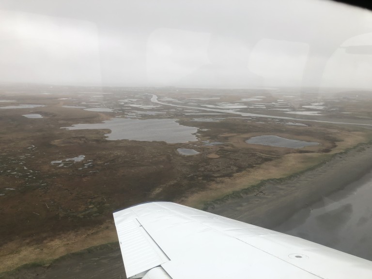 Aerial view of the coast and marshy waters