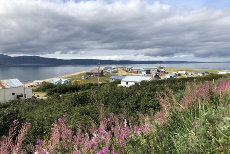 Overhead view of buildings and plants along the coast
