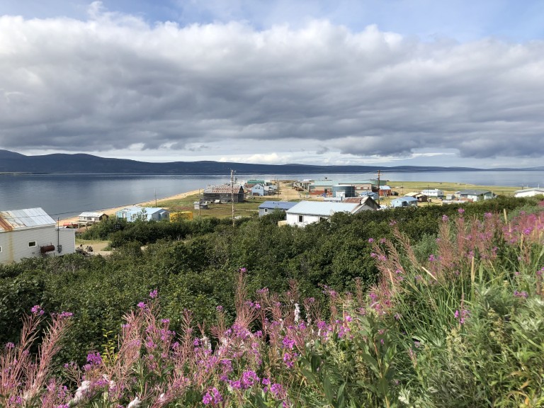 Overhead view of buildings and plants along the coast
