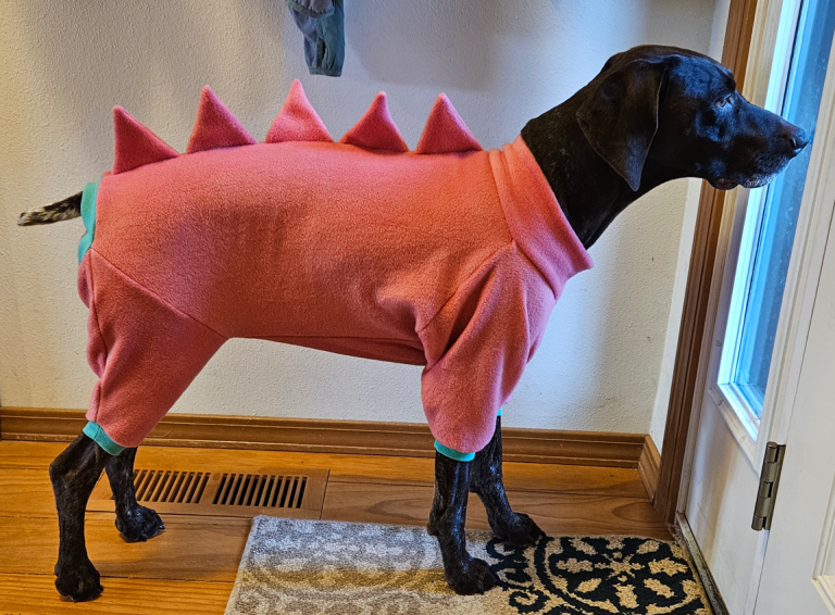 Brown dog in felt dinosaur onesie